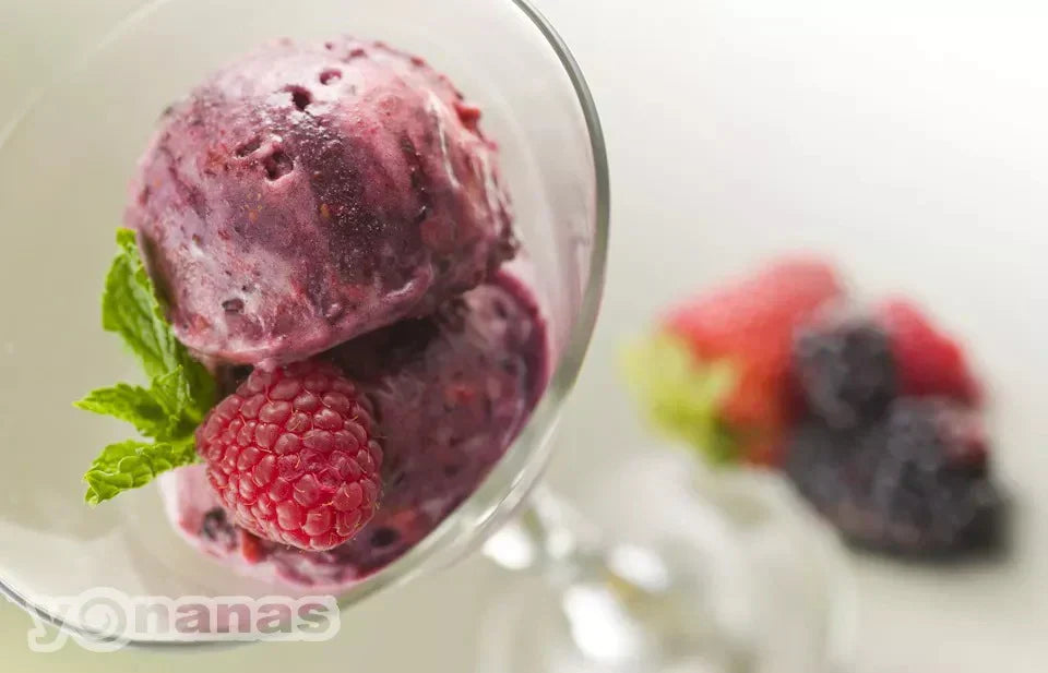 Yonanas Mixed Berry | Helado de Frutos Rojos y Plátano