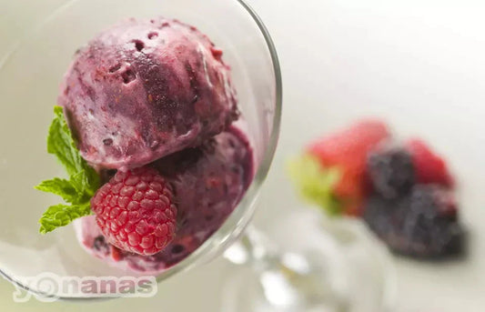 Yonanas Mixed Berry | Helado de Frutos Rojos y Plátano