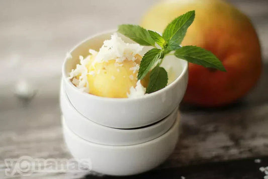 Yonanas Tropical Tentación | Helado de Frutas Saludable